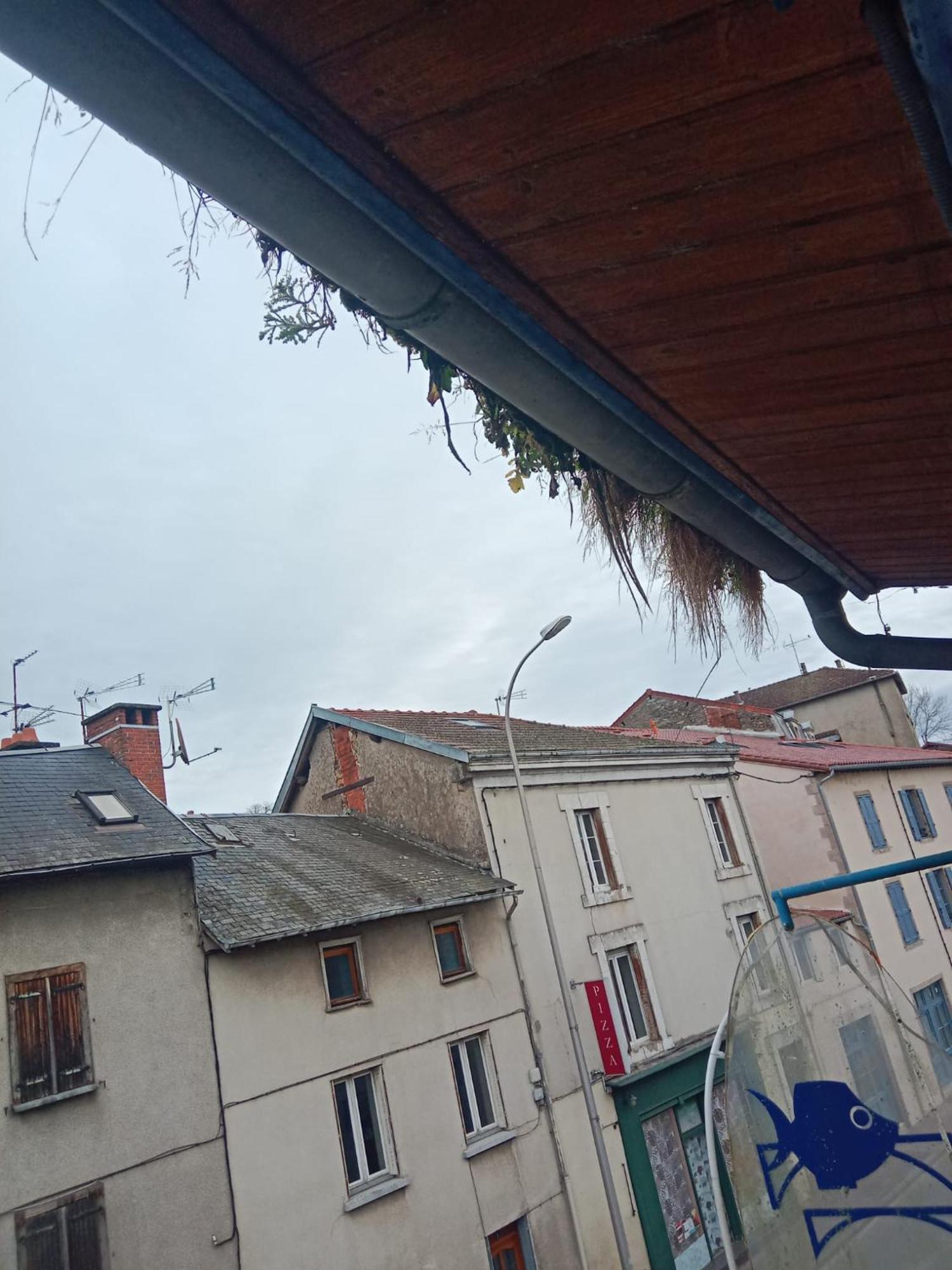 La Coquille D'Or Hotel Aixe-sur-Vienne Bagian luar foto